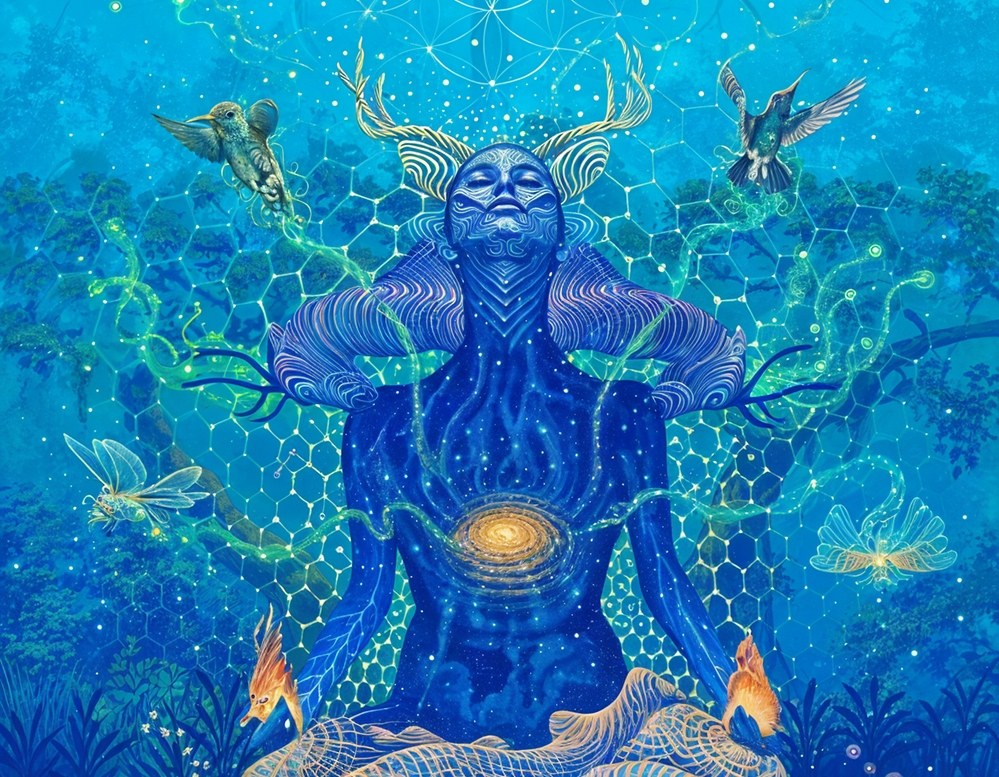 rhythms of the universe