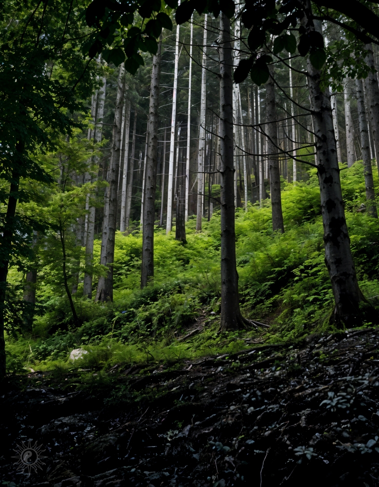 shypit nature 2